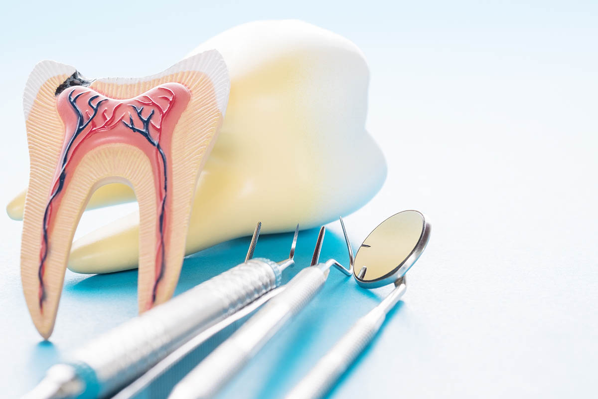 What is Endodontics